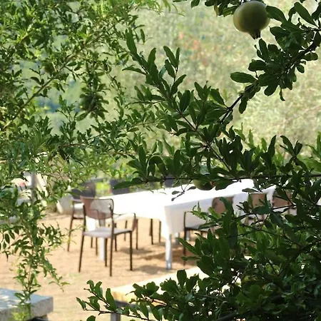 Villa Private Hillside Near Teg Full Privacy *