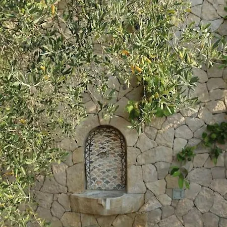 Private Hillside Near Teg Full Privacy * 티라나