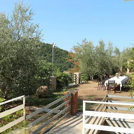Private Hillside Near Teg Full Privacy 빌라 티라나