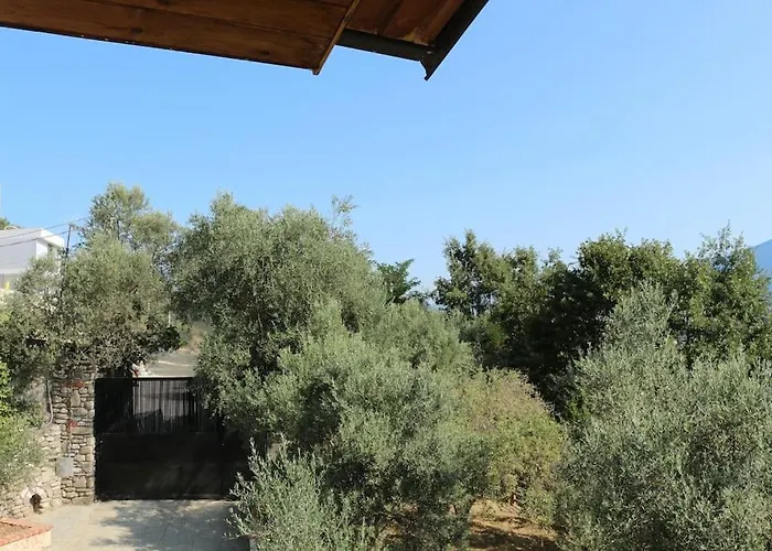 Private Hillside Near Teg Full Privacy 地拉那