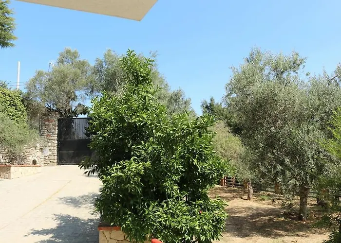 Private Hillside Near Teg Full Privacy 地拉那