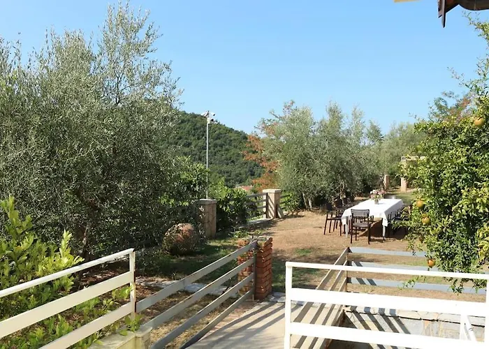 Private Hillside Near Teg Full Privacy 别墅 地拉那