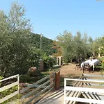 Private Hillside Near Teg Full Privacy Villa Tirana