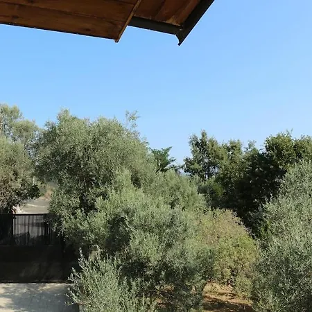 Private Hillside Near Teg Full Privacy Tirana