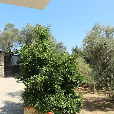 Private Hillside Near Teg Full Privacy Tirana
