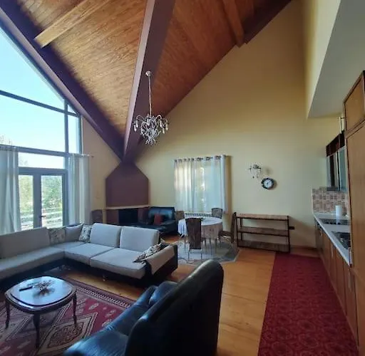 Private Hillside Near Teg Full Privacy Villa Tirana